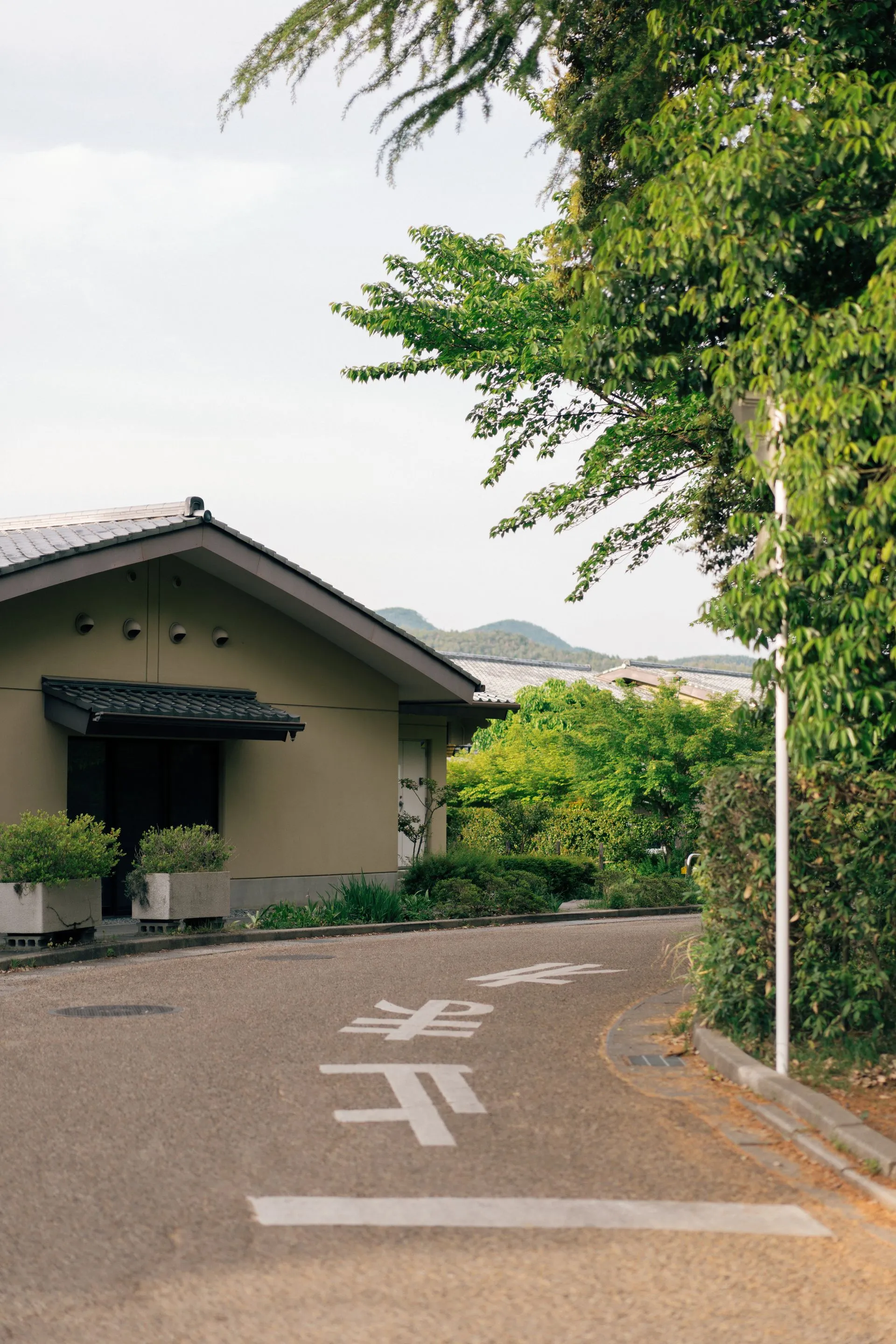 緑に囲まれた日本の郊外の住宅と静かな通り